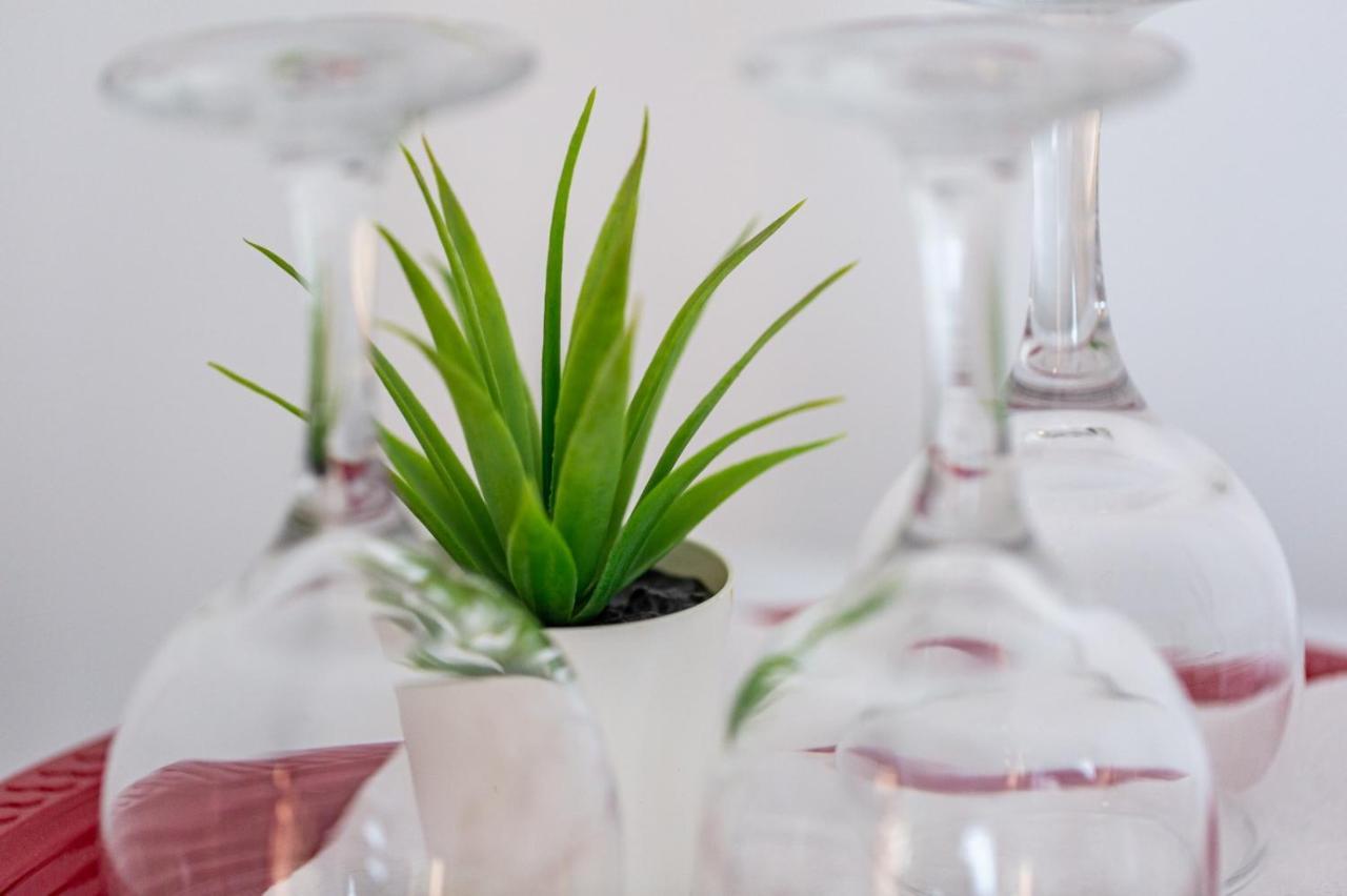 Green House 布加勒斯特 外观 照片